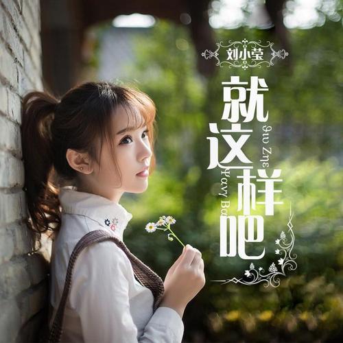 就这样吧 - 刘小莹