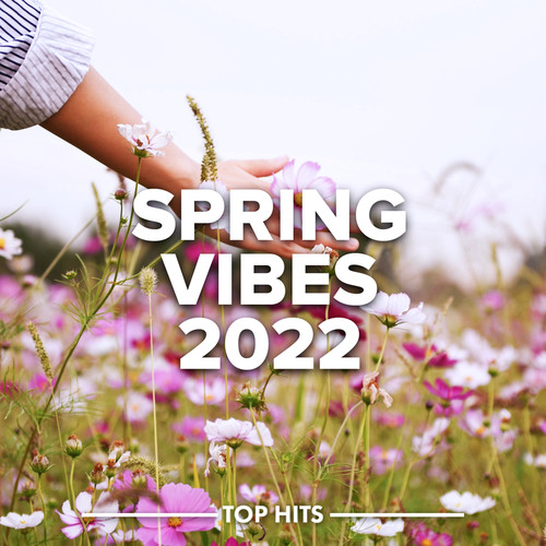 Spring Vibes 2022 (Explicit)