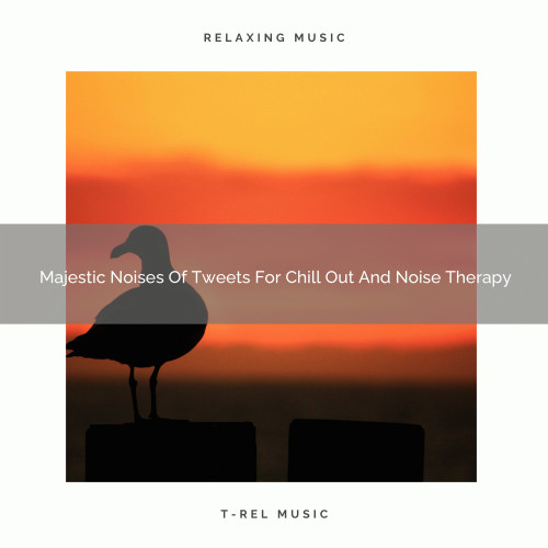 Majestic Noises Of Tweets For Chill Out And Noise Therapy