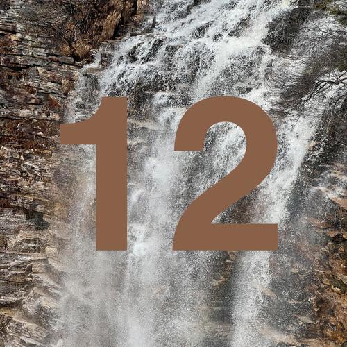 VOL. 12