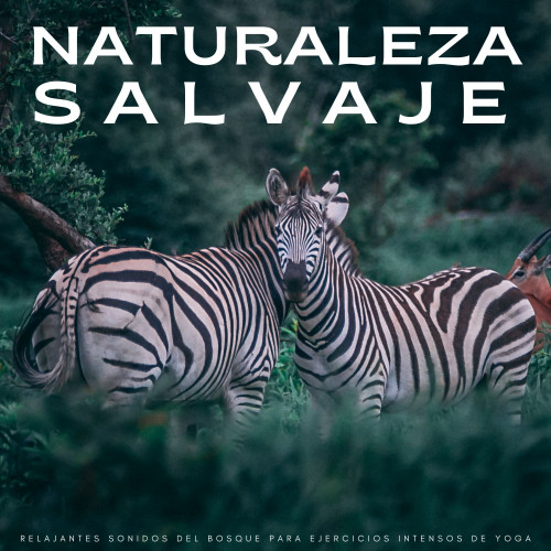 Naturaleza Salvaje: Relajantes Sonidos Del Bosque Para Ejercicios Intensos De Yoga