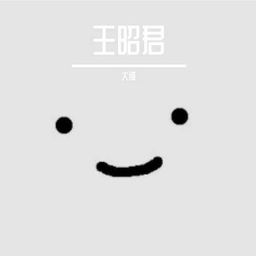 王招君