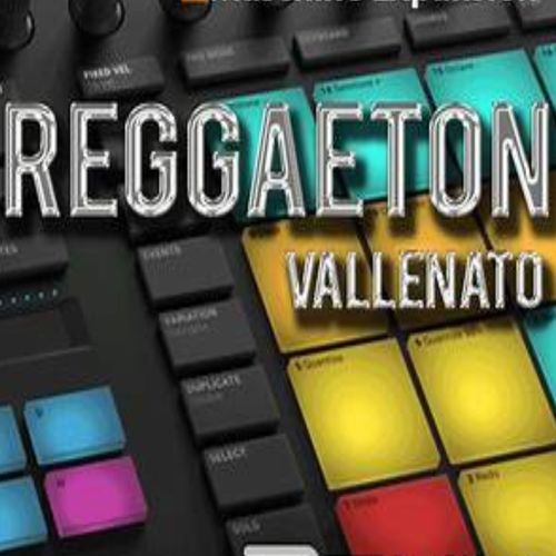Instrumental Reggaeton Vallenato