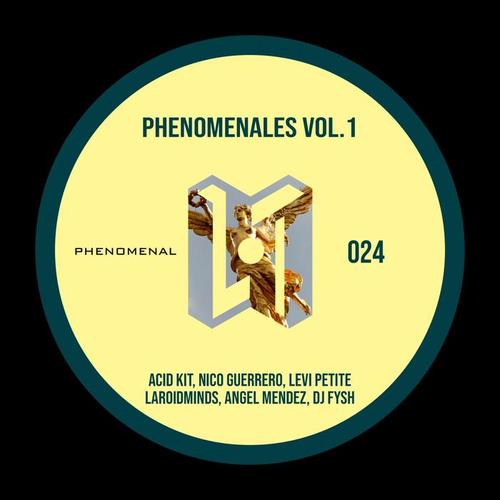 Phenomenales Vol.1