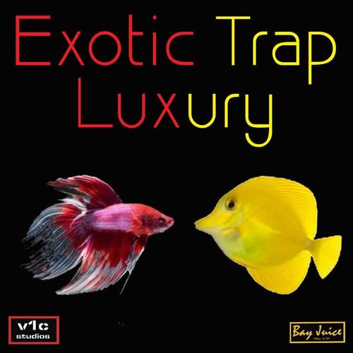 Exotic Trap Luxury