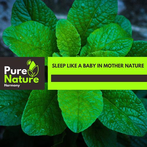 Sleep Like a Baby in Mother Nature