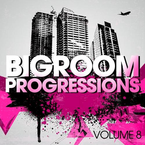 Bigroom Progressions, Vol. 8