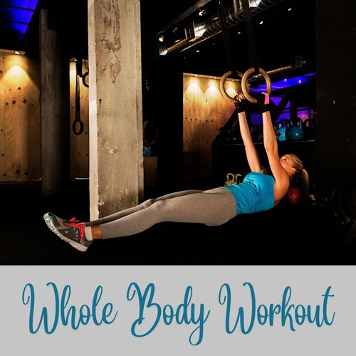 Whole Body Workout