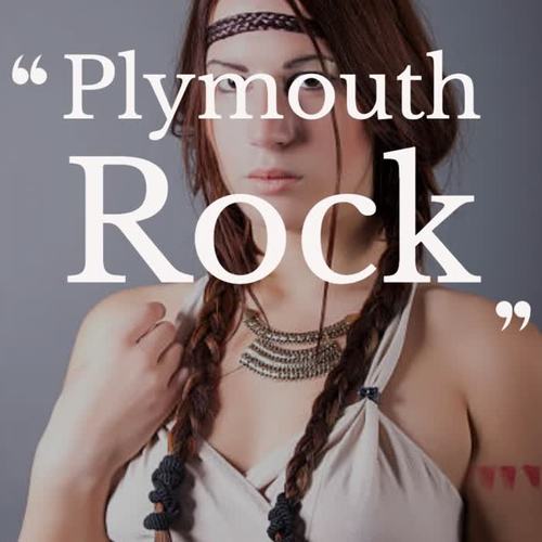 Plymouth Rock