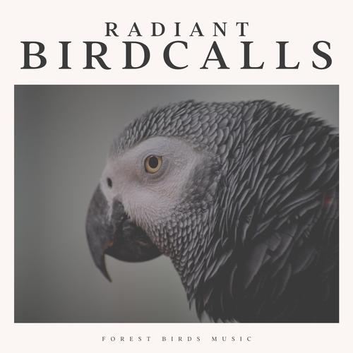 Radiant Birdcalls