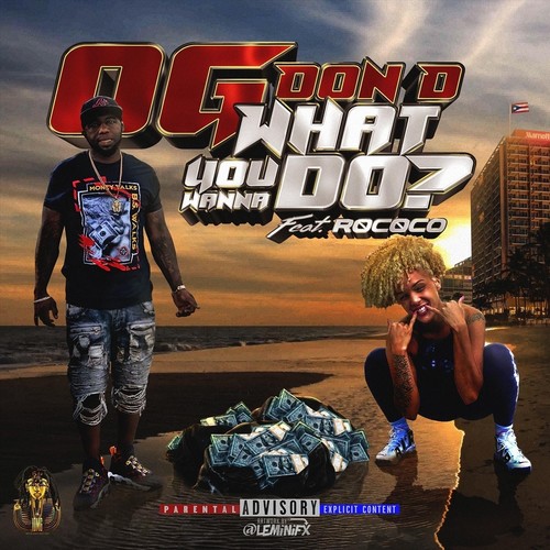 What You Wanna Do? (feat. R0c0co) [Explicit]