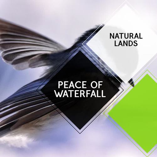 Peace of Waterfall - Natural Lands