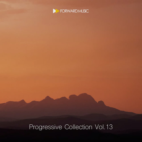 Progressive Collection, Vol. 13