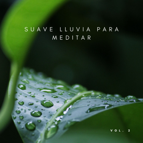 Suave Lluvia Para Meditar Vol. 2