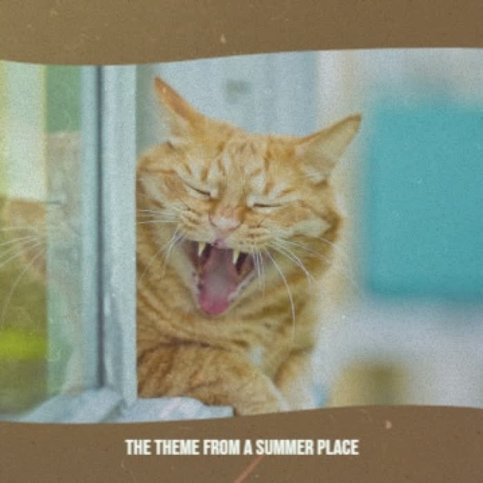 The Theme from a Summer Place