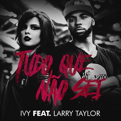 Tudo Que Não Sei (feat. Larry Taylor)