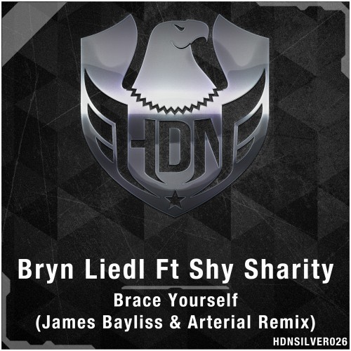 Brace Yourself (James Bayliss & Arterial Remix)