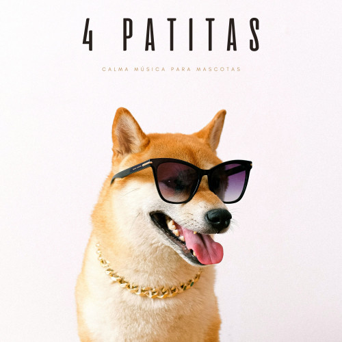 4 Patitas: Calma Música Para Mascotas