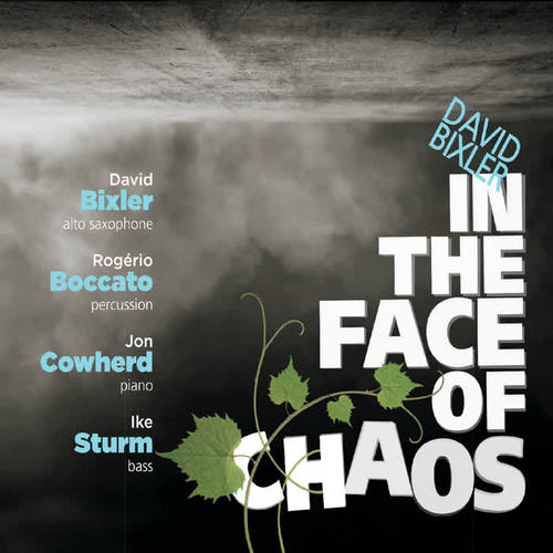 In the Face of Chaos (feat. Rogério Boccato, Jon Cowherd, & Ike Sturm)