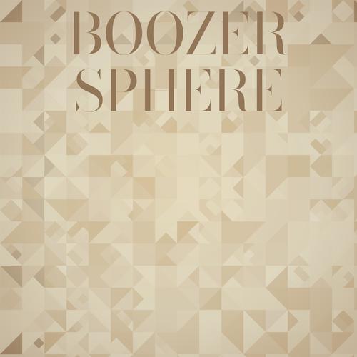 Boozer Sphere