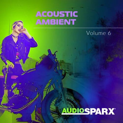 Acoustic Ambient Volume 6