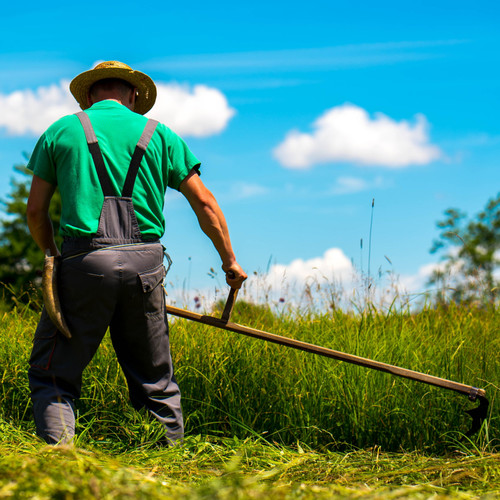 Nature's Ambient Momentum: Workplace Harmony with Binaural Soundscape