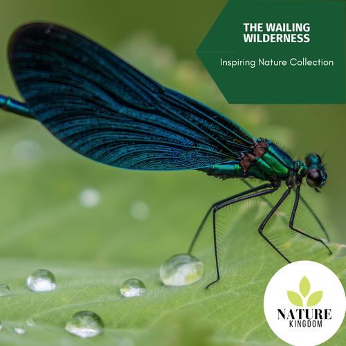 The Wailing Wilderness - Inspiring Nature Collection