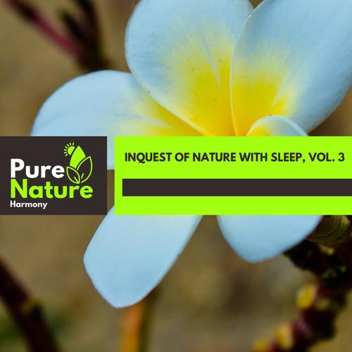 Inquest of Nature with Sleep, Vol. 3