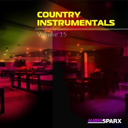 Country Instrumentals Volume 15