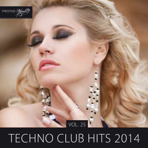 Techno Club Hits 2014, Vol. 25 (Explicit)