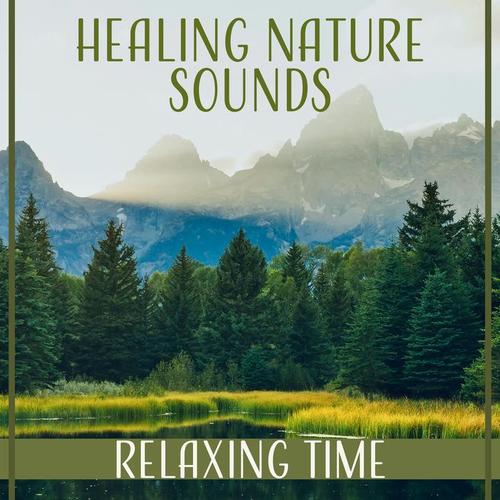 Healing Nature Sounds: Relaxing Time for Mindfulness Meditation, Serenity Music, Ocean Waves, Birds