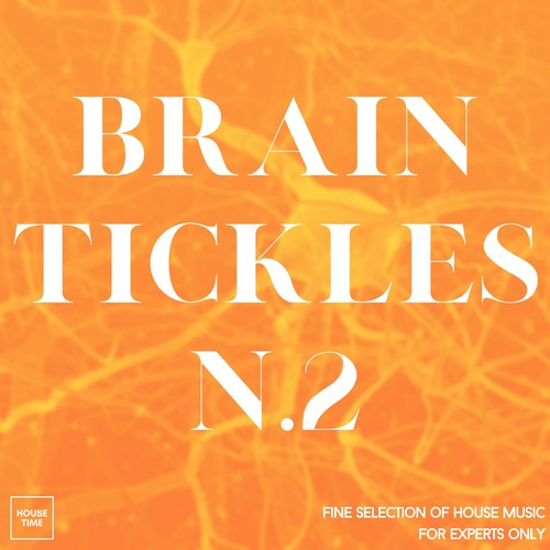 Brain Tickles N. 2 (Fine Selection of House Music for Experts Only)