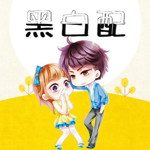 黑白配