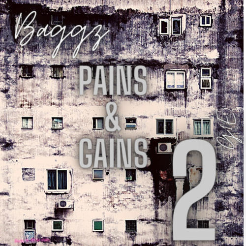 Pains & Gains 2 (Explicit)