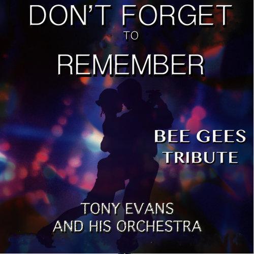 Don't Forget to Remember - Bee Gees Tribute