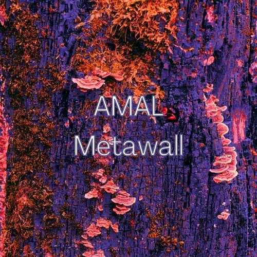 Metawall