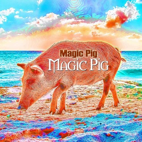 Magic Pig