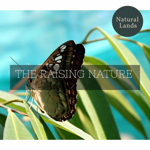 The Raising Nature