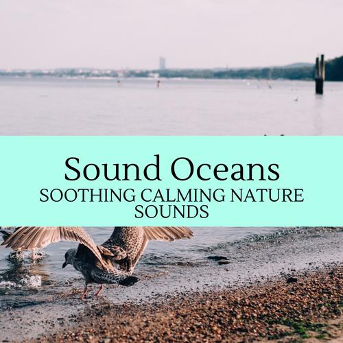 Sound Oceans - Soothing Calming Nature Sounds