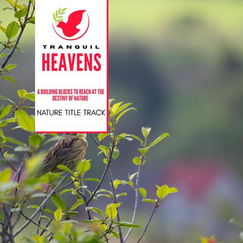 A Building Blocks to Reach at the Destiny of Nature - Nature Title Track