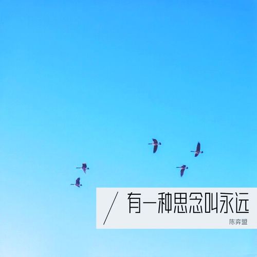 有一种思念叫永远