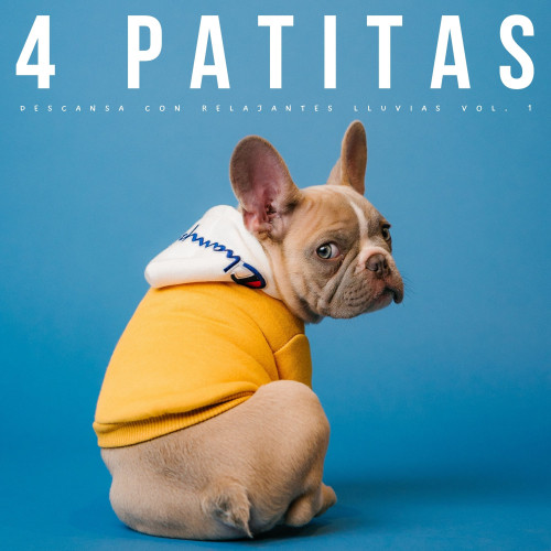 4 Patitas: Descansa Con Relajantes Lluvias Vol. 1