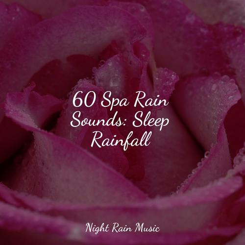 60 Spa Rain Sounds: Sleep Rainfall