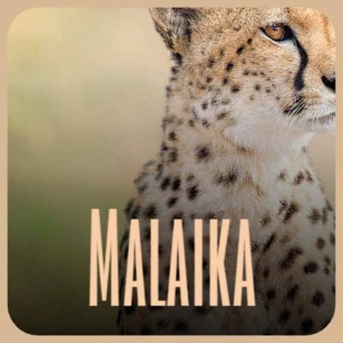 Malaika