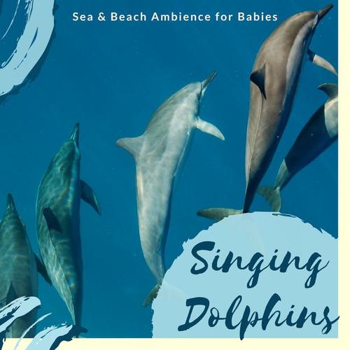 Singing Dolphins - Sea & Beach Ambience for Babies