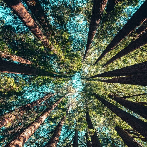 Calming Sounds of Nature | Relaxing Music | Spa