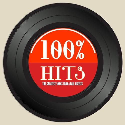 100% Hits (The Greatest Songs from Male Artists)