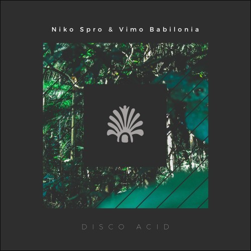 Disco Acid