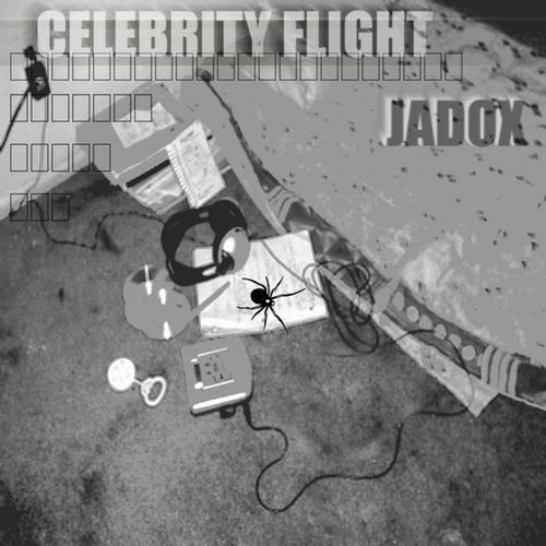 Celebrity Flight