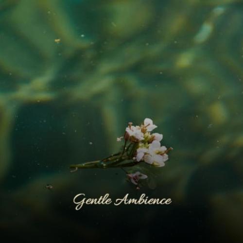 Gentle Ambience